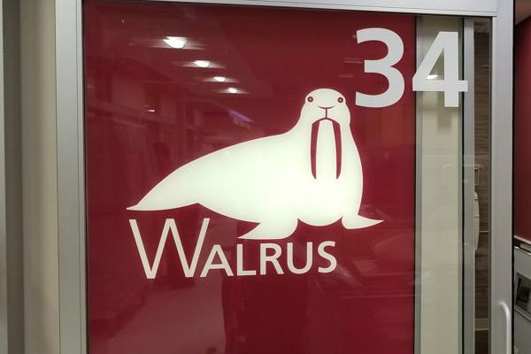 walrus graphic light box